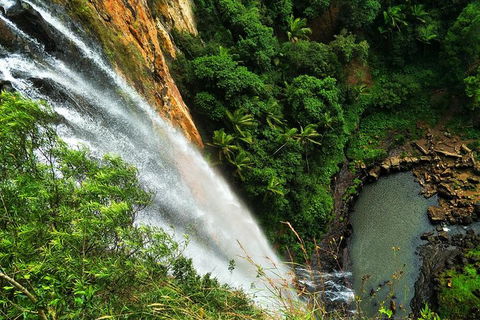 Rainforest & Waterfalls Extravaganza - Surfers Gold Coast 2