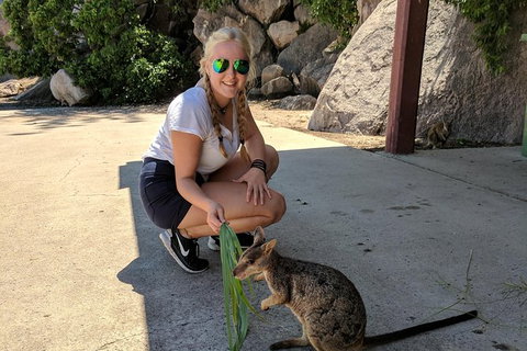 Magnetic Island Tour: Maggie Comprehensive - Surfers Gold Coast 9