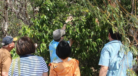 Magnetic Island Tour: Maggie Comprehensive - Surfers Gold Coast 6