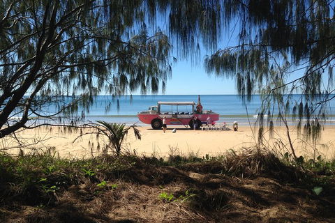 1770 Coastline Tour By LARC Amphibious Vehicle Including Picnic Lunch - Surfers Gold Coast 0