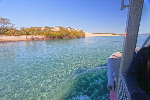 1770 Coastline Tour By LARC Amphibious Vehicle Including Picnic Lunch - Surfers Gold Coast 12
