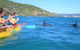 Half-Day Kayak With Dolphins And 4WD Beach Drive From Rainbow Beach - thumb 1