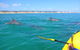 Half-Day Kayak With Dolphins And 4WD Beach Drive From Rainbow Beach - thumb 0