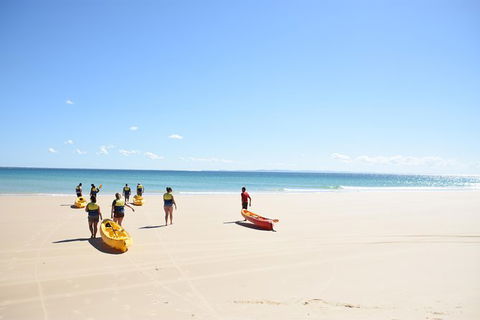 Half-Day Kayak With Dolphins And 4WD Beach Drive From Rainbow Beach - Surfers Gold Coast 10