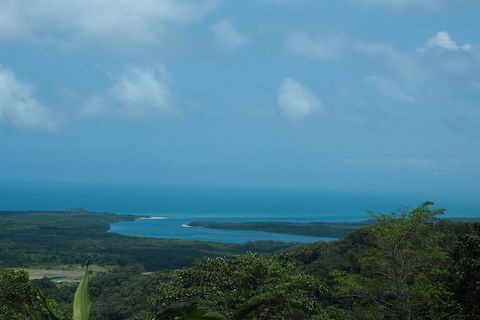 Cape Tribulation, Daintree Rainforest And Wildlife Tour - Surfers Gold Coast 7
