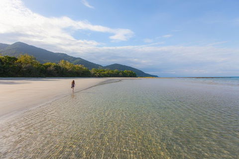 Cape Tribulation, Daintree Rainforest And Wildlife Tour - Surfers Gold Coast 6
