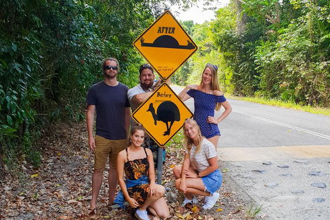 Cape Tribulation, Daintree Rainforest And Wildlife Tour - Surfers Gold Coast 10
