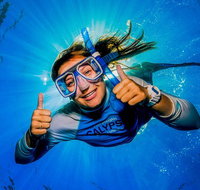 Calypso Outer Great Barrier Reef Cruise from Port Douglas - Surfers Gold Coast