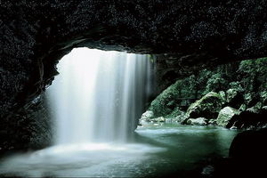 Natural Bridge Glow Worm Night Tour from Gold Coast