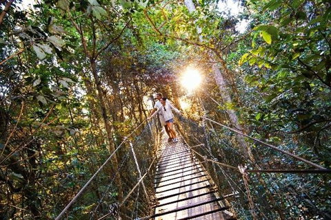 O'Reilly's Lamington National Park And Treetop Canopy Tour - Surfers Gold Coast 0