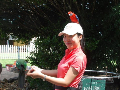 O'Reilly's Lamington National Park And Treetop Canopy Tour - Surfers Gold Coast 5