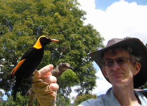 O'Reilly's Lamington National Park And Treetop Canopy Tour - Surfers Gold Coast 4