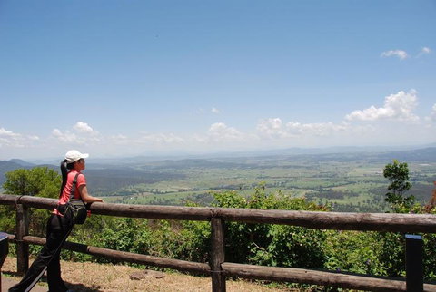 O'Reilly's Lamington National Park And Treetop Canopy Tour - Surfers Gold Coast 6