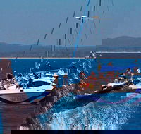 Blue Dolphin Exclusive Whale Watch Encounters - Surfers Gold Coast