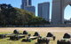 E-Skate Experience - Brisbane River - thumb 1