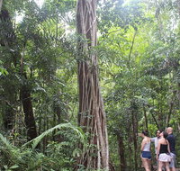 Sightseeing Tour - Half Day - Surfers Gold Coast