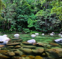 Mossman Silky Oaks to/from Cairns - Surfers Gold Coast