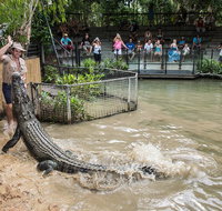Hartley's Crocodile Adventures General Entry Ticket - Surfers Gold Coast