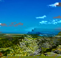 Cape Tribulation Day Tour - Surfers Gold Coast