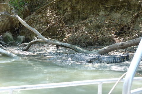 Kakadu Full-Day Tour From Darwin With Lunch - Surfers Gold Coast 2