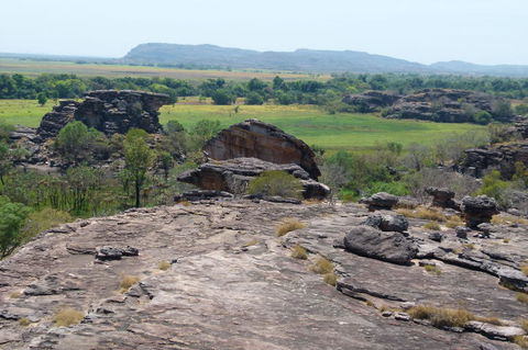 Kakadu Full-Day Tour From Darwin With Lunch - Surfers Gold Coast 3