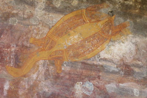 Kakadu Full-Day Tour From Darwin With Lunch - Surfers Gold Coast 4