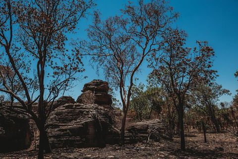 Kakadu Full-Day Tour From Darwin With Lunch - Surfers Gold Coast 6