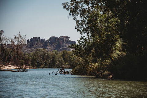 Kakadu Full-Day Tour From Darwin With Lunch - Surfers Gold Coast 8