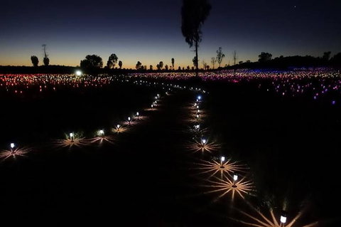 Uluru Field Of Light Sunrise Tour - Surfers Gold Coast 2
