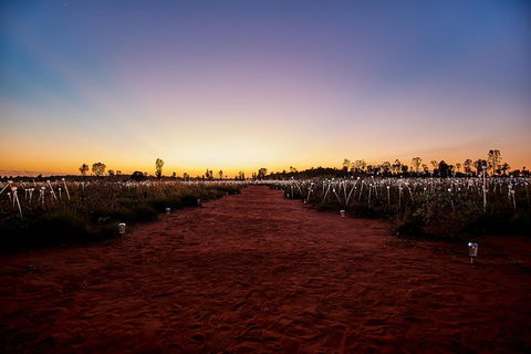 Uluru Field Of Light Sunrise Tour - Surfers Gold Coast 14