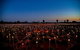 Uluru Field Of Light Sunrise Tour - thumb 7