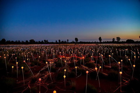 Uluru Field Of Light Sunrise Tour - Surfers Gold Coast 7