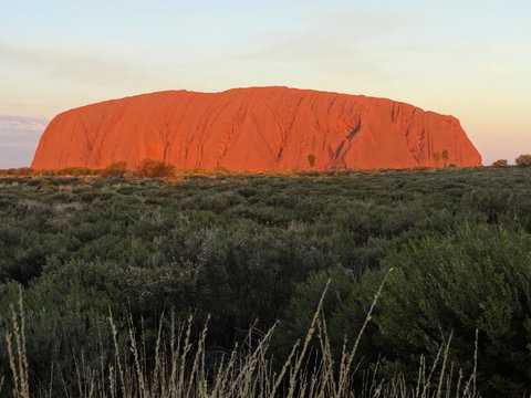 Uluru (Ayers Rock) Sunset With Outback Barbecue Dinner And Star Tour - Surfers Gold Coast 5