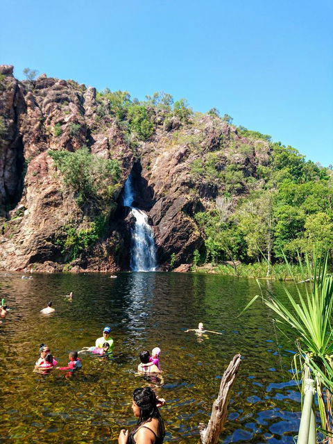 Litchfield And Jumping Crocodiles Full Day Trip From Darwin - Surfers Gold Coast 3
