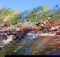 Litchfield and Jumping Crocodiles Full Day Trip from Darwin - Surfers Gold Coast