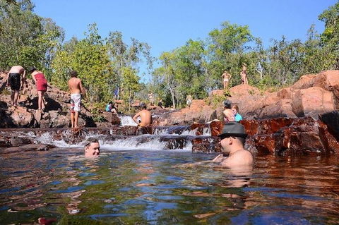 Litchfield And Jumping Crocodiles Full Day Trip From Darwin - Surfers Gold Coast 0