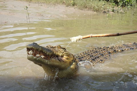 Litchfield And Jumping Crocodiles Full Day Trip From Darwin - Surfers Gold Coast 17