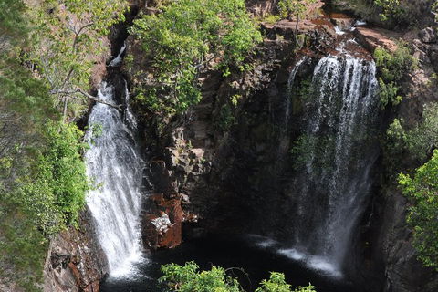 Litchfield And Jumping Crocodiles Full Day Trip From Darwin - Surfers Gold Coast 8