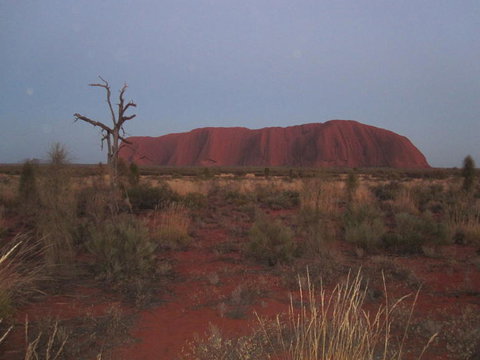 Uluru Base And Sunset Half-Day Trip With Optional Outback BBQ Dinner - Surfers Gold Coast 3