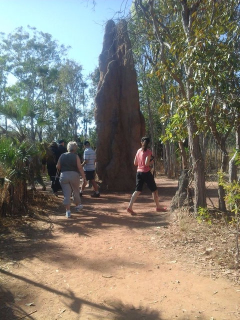 Litchfield National Park Day Tour From Darwin - Surfers Gold Coast 14