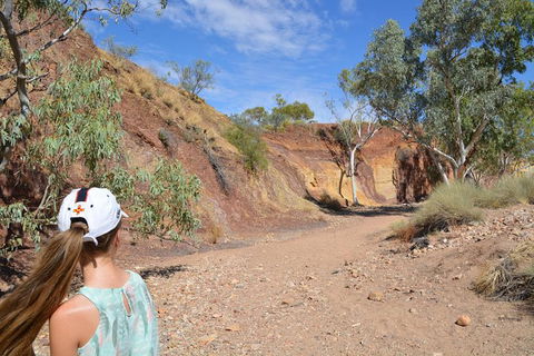 West MacDonnell Ranges Small-Group Full-Day Guided Tour - Surfers Gold Coast 2