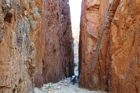 West MacDonnell Ranges Small-Group Full-Day Guided Tour - Surfers Gold Coast 6