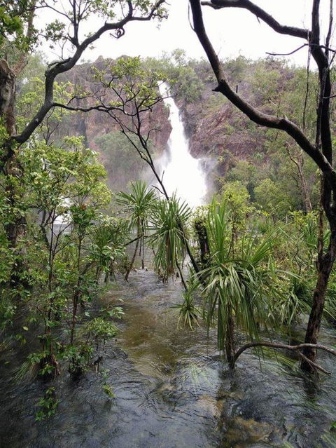 Small-Group Litchfield National Park Day Trip From Darwin - Surfers Gold Coast 6