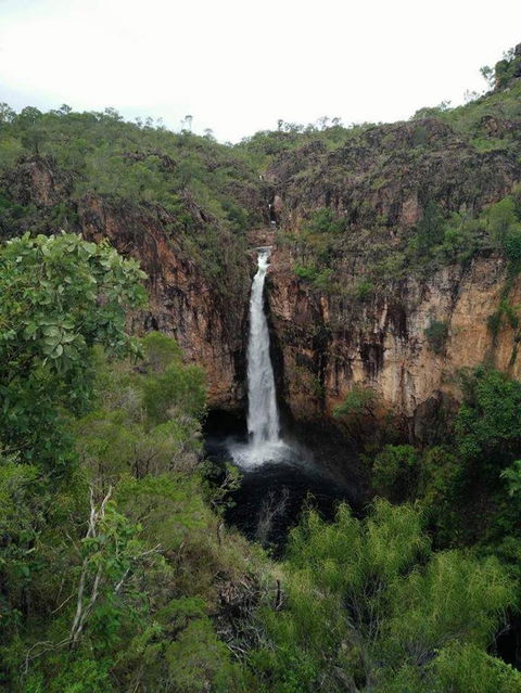 Small-Group Litchfield National Park Day Trip From Darwin - Surfers Gold Coast 5