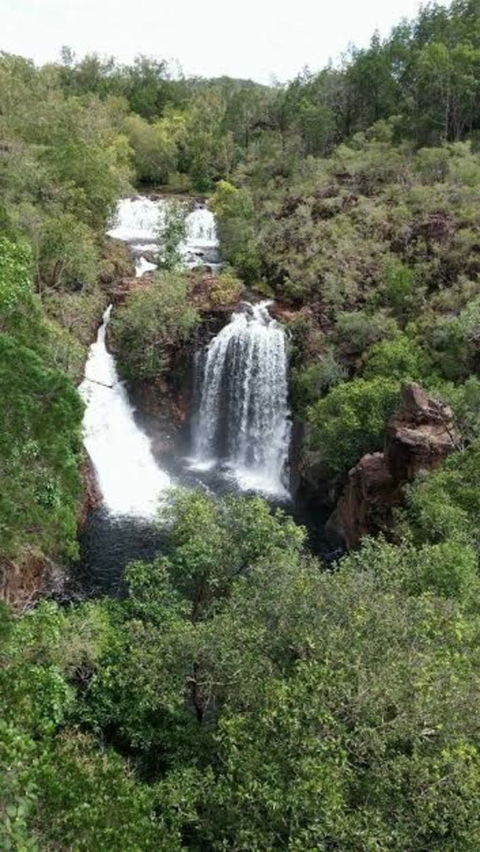 Small-Group Litchfield National Park Day Trip From Darwin - Surfers Gold Coast 7
