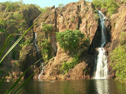 Small-Group Litchfield National Park Day Trip From Darwin - Surfers Gold Coast 15