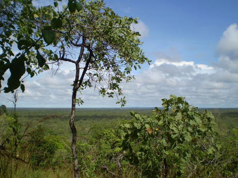 Small-Group Litchfield National Park Day Trip From Darwin - Surfers Gold Coast 8