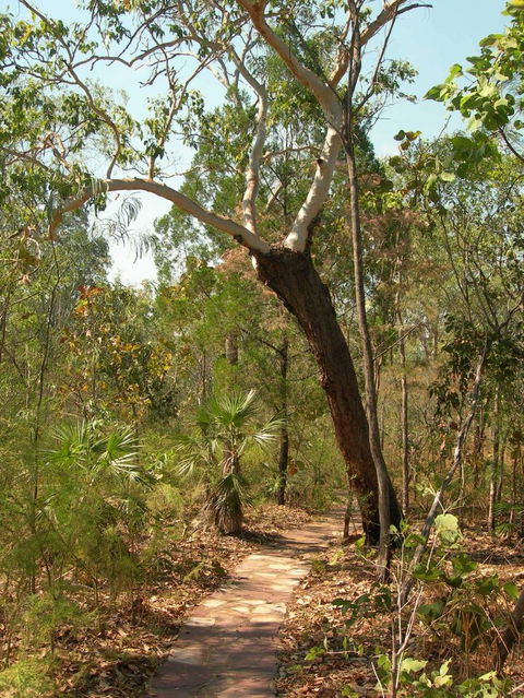 Small-Group Litchfield National Park Day Trip From Darwin - Surfers Gold Coast 14