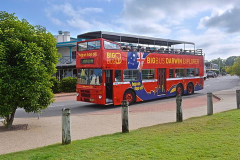 Darwin Shore Excursion: Hop-on Hop-off Bus Tour - Surfers Gold Coast 0