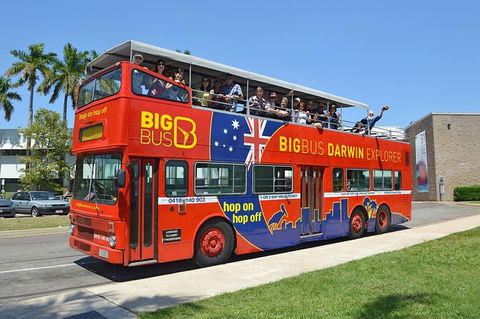 Darwin Shore Excursion: Hop-on Hop-off Bus Tour - Surfers Gold Coast 12
